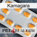 Kamagara cialis3